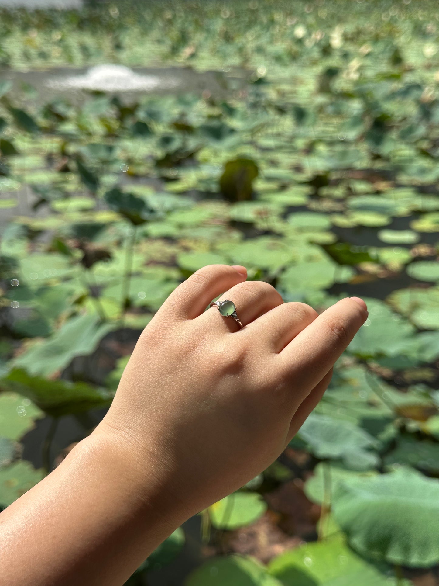 JO230016 A Drop in the Lake | Icy Blue watery jadeite cabochon in 18K white gold with natural diamonds