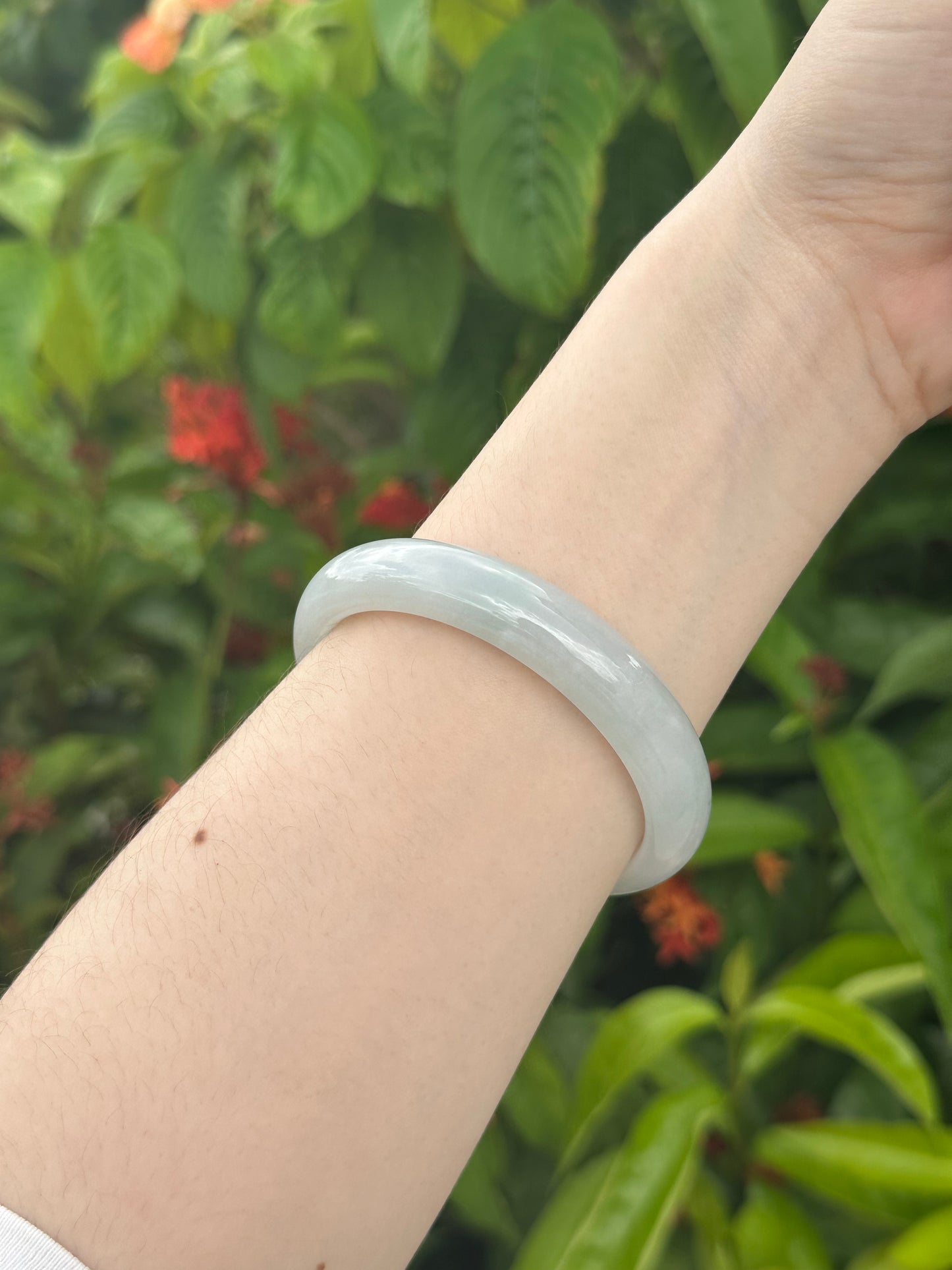 JBG25005 Spring Terrain | Light Green Jadeite Bangle