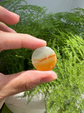 JWS224003 Sunset | Natural Orange Yellow Jadeite in round Wushi carving