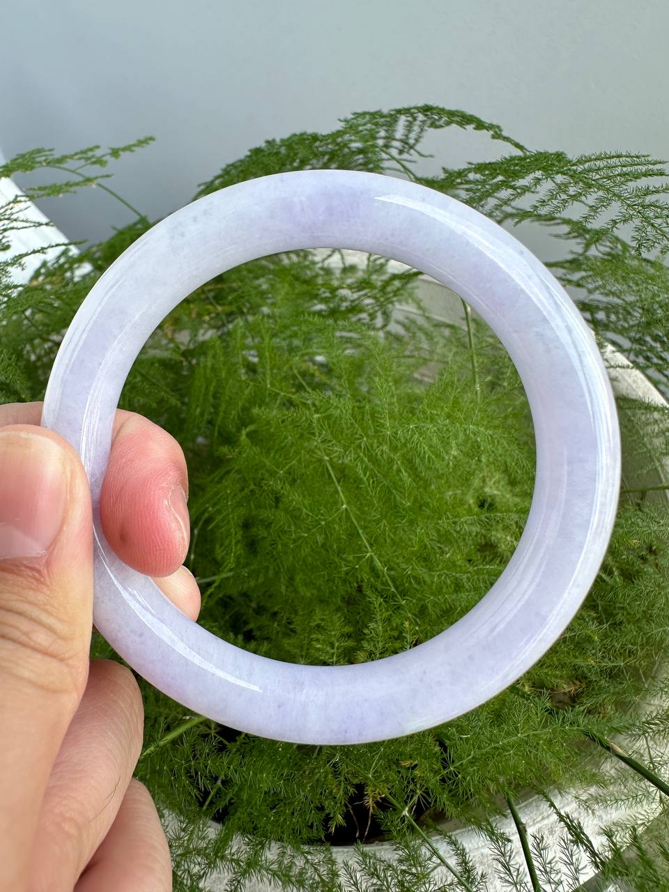 JBG23005 Lavendula | A Shroud of Lavender Round Jadeite  Bangle Size 59.5